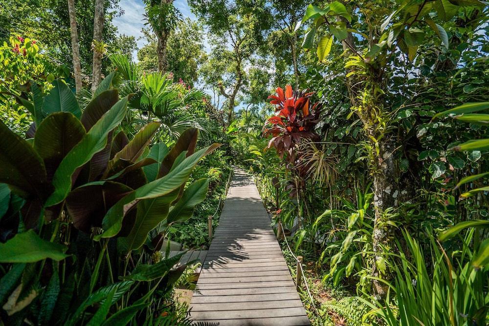 Pousada Do Bosque Porto Seguro Kültér fotó